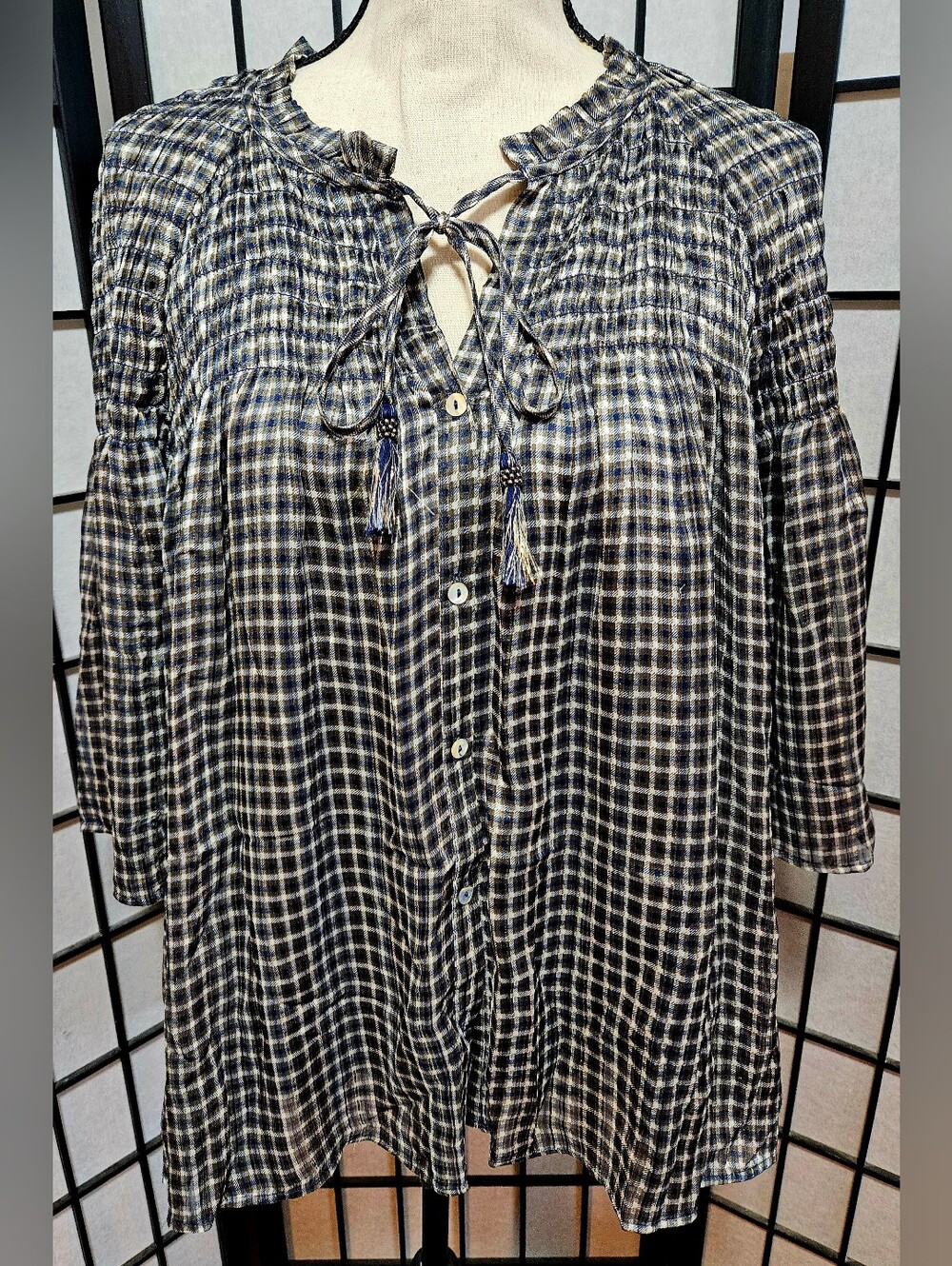 Anthropologie's Daniel Rainn Blue, Gray, Black XL Gingham Peasant Blouse